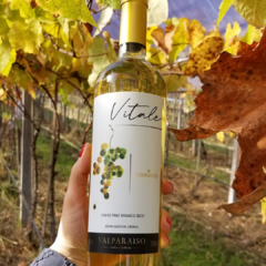 Vitale Branco Seco Torrontés - Levin Vinhos