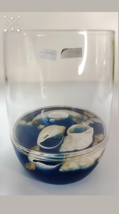 Vaso Marino