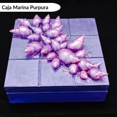 Cajas caracoles Marinos - tienda online