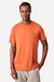 T shirt RESERVA PICA PAU na internet