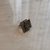 Anillo Cubic