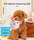 Pelucia Pet Interativa