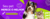 Imagem do banner rotativo 3