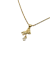 Collar Vario