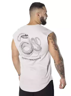 Regata Cobra na internet