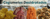 Imagem do banner rotativo 2