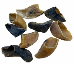 Pezuña de Res Deshidratada