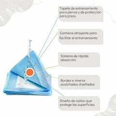 TAPETE ENTRENADOR - comprar en línea