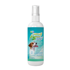 SPRAY DENTAL 125ML
