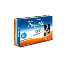 PULGATON JABON 80G