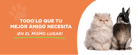 Carrusel animalarium-shop.com