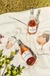 SANTROPA MERLOT ROSÉ na internet