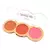 Paleta Trio de Blush My Life Blush Up na internet