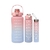 Kit 3 Garrafas De Água Squeeze 2000ml + 900ml + 300ml