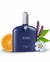 Wild Zirconia Privé Eau de Parfum - Perfume Masculino 100ml - comprar online