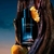 Imagem do Sauvage Dior Eau de Parfum - Perfume Masculino