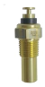 SENSOR TEMPERATURA AGUA - 3029