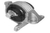 COXIM MOTOR - IPL 015