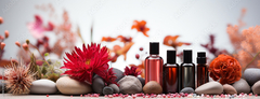Banner da categoria PERFUMARIA FINA