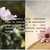 Óleo Vegetal Rosa Mosqueta Flora Pura com 30ml