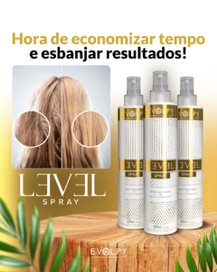 PACK 6 UN - LEVEL SPRAY ANTI FRIZZ 300ML - EVOLPY LISS na internet