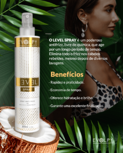 PACK 12 UN - LEVEL SPRAY ANTI FRIZZ 300ML - EVOLPY LISS na internet