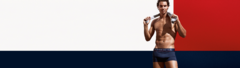 Banner de la categoría Tommy Hilfiger