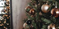 Banner de la categoría Otros