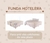 Funda para unir colchones