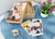 CAIXA DE MEMORIAS - comprar online