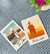 POLAROID COM LEGENDA - comprar online