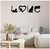 GATO LOVE