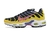 Air Max TN Plus "Pilgrim"