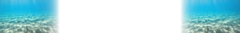 Banner da categoria AQUATICO
