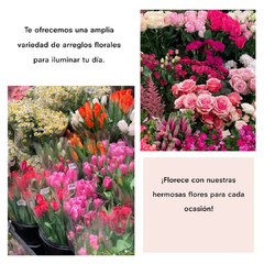 Banner de la categoría Plantas 