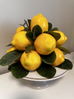 Arranjo Limão Siciliano Amoreira Decor - comprar online