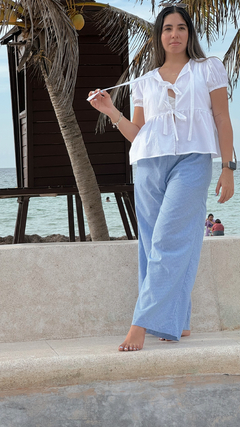 Blusa Mary lisos en internet