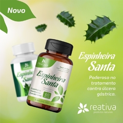 ESPINHEIRA SANTA 60 CAPS - loja online