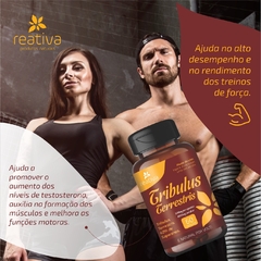 TRIBULUS TERRESTRES 60 CAPS - comprar online