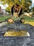 PLACA PIX LUXO