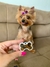 PINGENTE PET - loja online