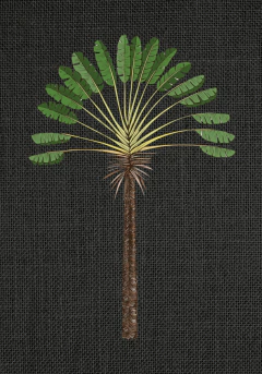 madagascar negro y verde | 100 x 70 cm - comprar online