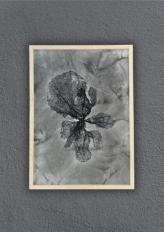 coralina gris | 50 x 70 cm ENTREGA EN 20/30 DIAS - comprar online