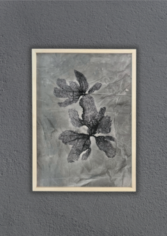coralina gris | 50 x 70 cm ENTREGA EN 20/30 DIAS en internet