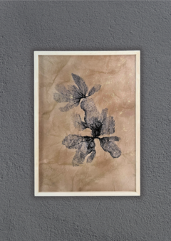coralina arena | 50 x 70 cm - comprar online