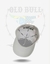 BONÉ BRANCO USA OLD BULL RULES. - loja online