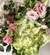 Ramos Hortensias en internet