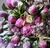 Peonias - comprar online