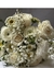 Novias - comprar online
