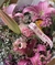 Lilium & marimoñas